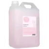 Champú neutro de fresa Anea Techline 5 L – champú profesional para uso frecuente con aroma dulce de fresa